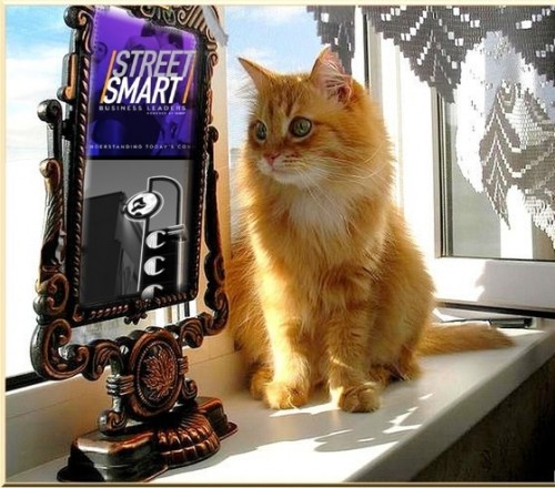 StreetSmartBusinessLeaderspodcastguestRichardBlankCostaRicasCallCenterCEO.20.jpg